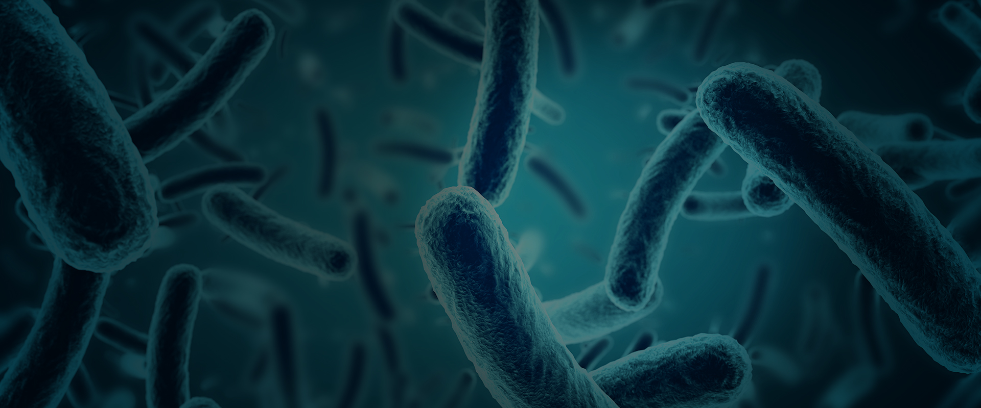 UV Germ Killing Light Targeted Disinfection MoonBeam